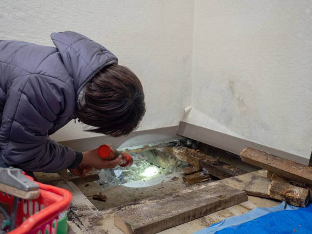 Best Real Estate Mold Inspection  in Hacienda Heights, CA