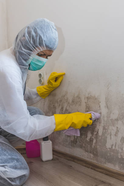 Best Airborne Mold Testing  in Hacienda Heights, CA