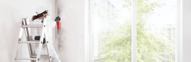 Best Water Damage & Mold Remediation  in Hacienda Heights, CA