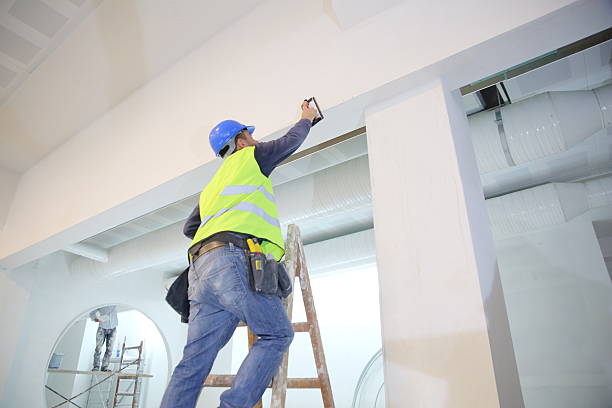 Hacienda Heights, CA Mold Removal Company