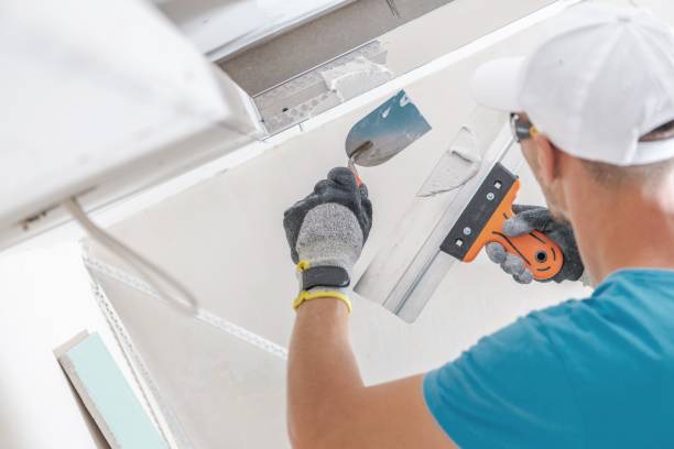 Best Forensic Mold Investigation  in Hacienda Heights, CA